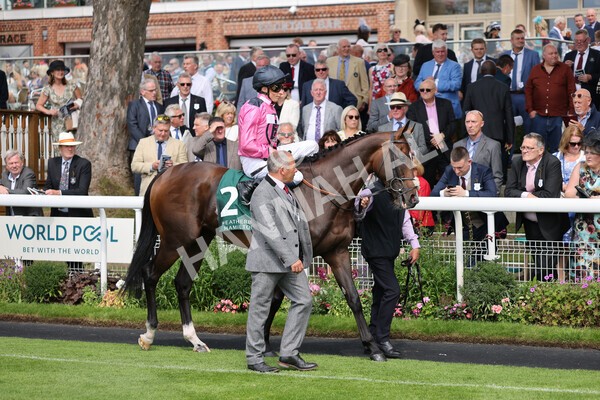yr20082021r2-20 - Race 2 2.25pm Weatherbys Hamilton Lonsdale Cup (British Champion Series race)
