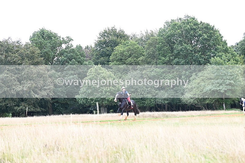 DSC_6511 - Time at Statue 12:45 to 13:15