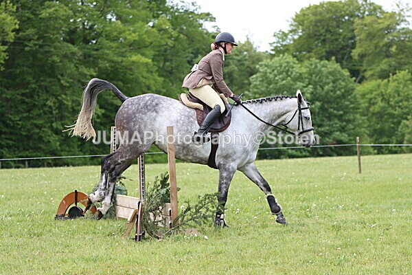IMG_2770 - Working Hunter