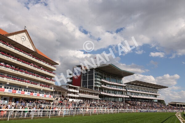 yr20082022r6-8 - Race 6 4.45 pm Julia Graves Roses Stakes