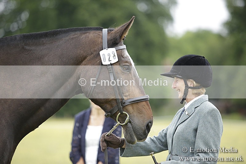 BVR160717-720 - Ring 2 BVRC Show 16/07/17