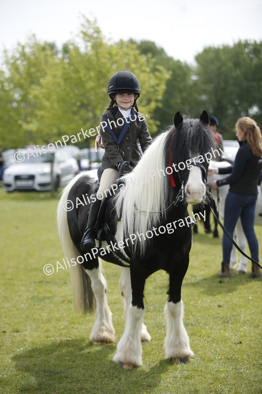20260426-3478 - Class 11 - Best Mane and Tail