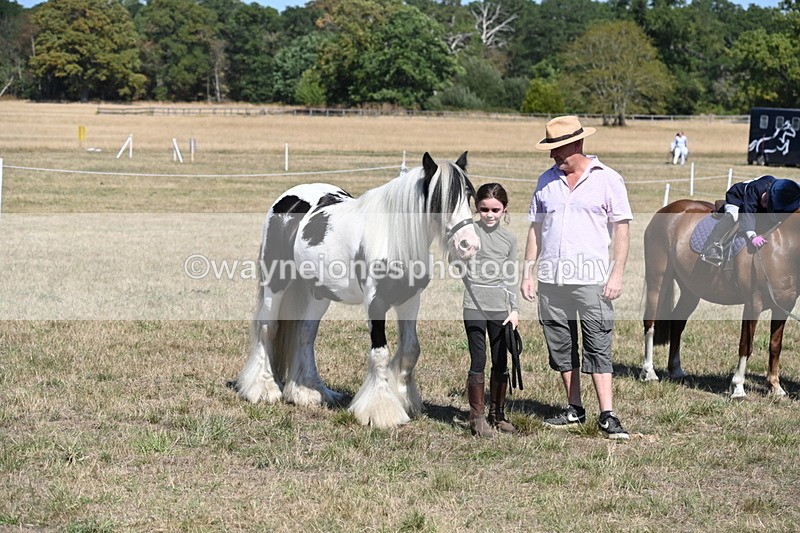 WJ6_9342 - Class 40 Cheekiest Pony/Horse