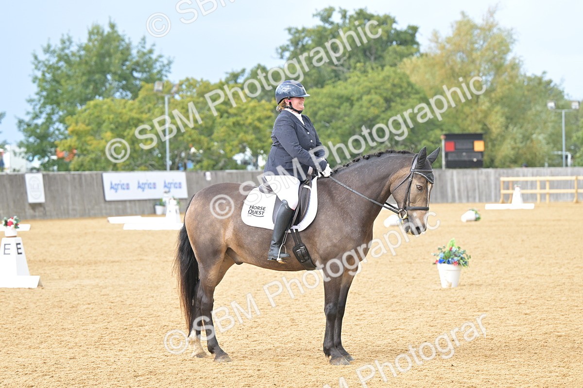 SBM_11107 - D3 - Small Tour Championship Intro 3