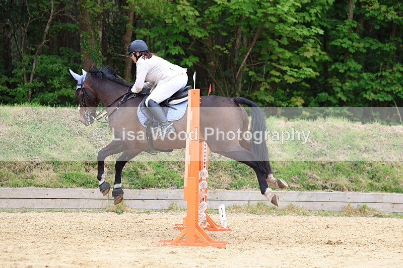 3E7A6116 - Class 4: Senior British Novice/90cm open