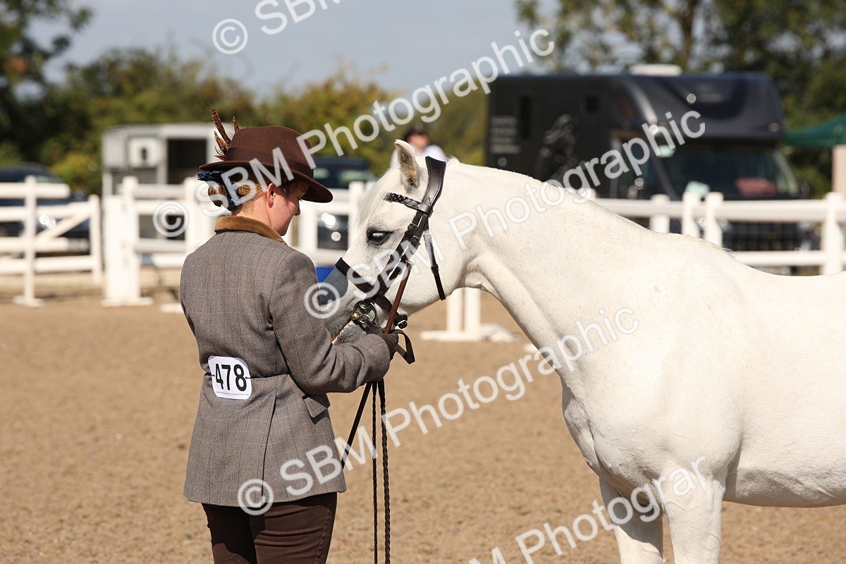 SBM_02787 - Class 16 IH M&M Wildcard