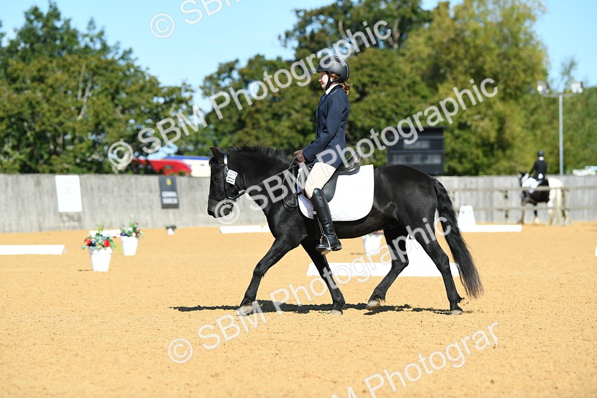 SBM_18189 - D4 - Small Tour Championship - Intro B