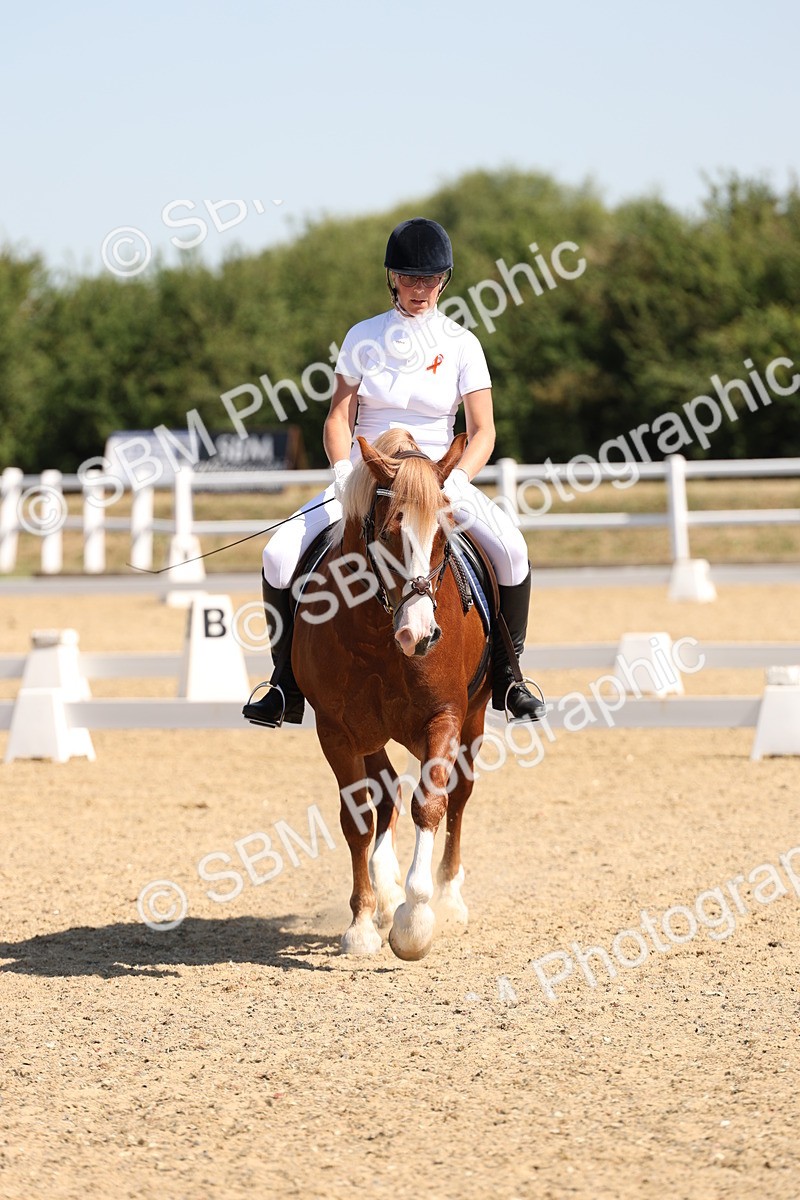 SBM_001081 - Intro 2