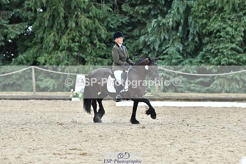 260801A-122253-03907 - Prelim Bronze Break - End