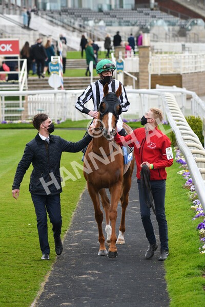 yr14052021r5-26 - Race 5 3.40pm The Jigsaw Sports Branding Handicap