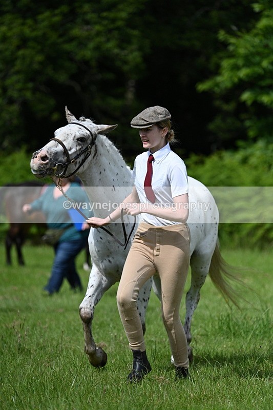 WJ7_1314 - Class 11 Condition & Turnout
