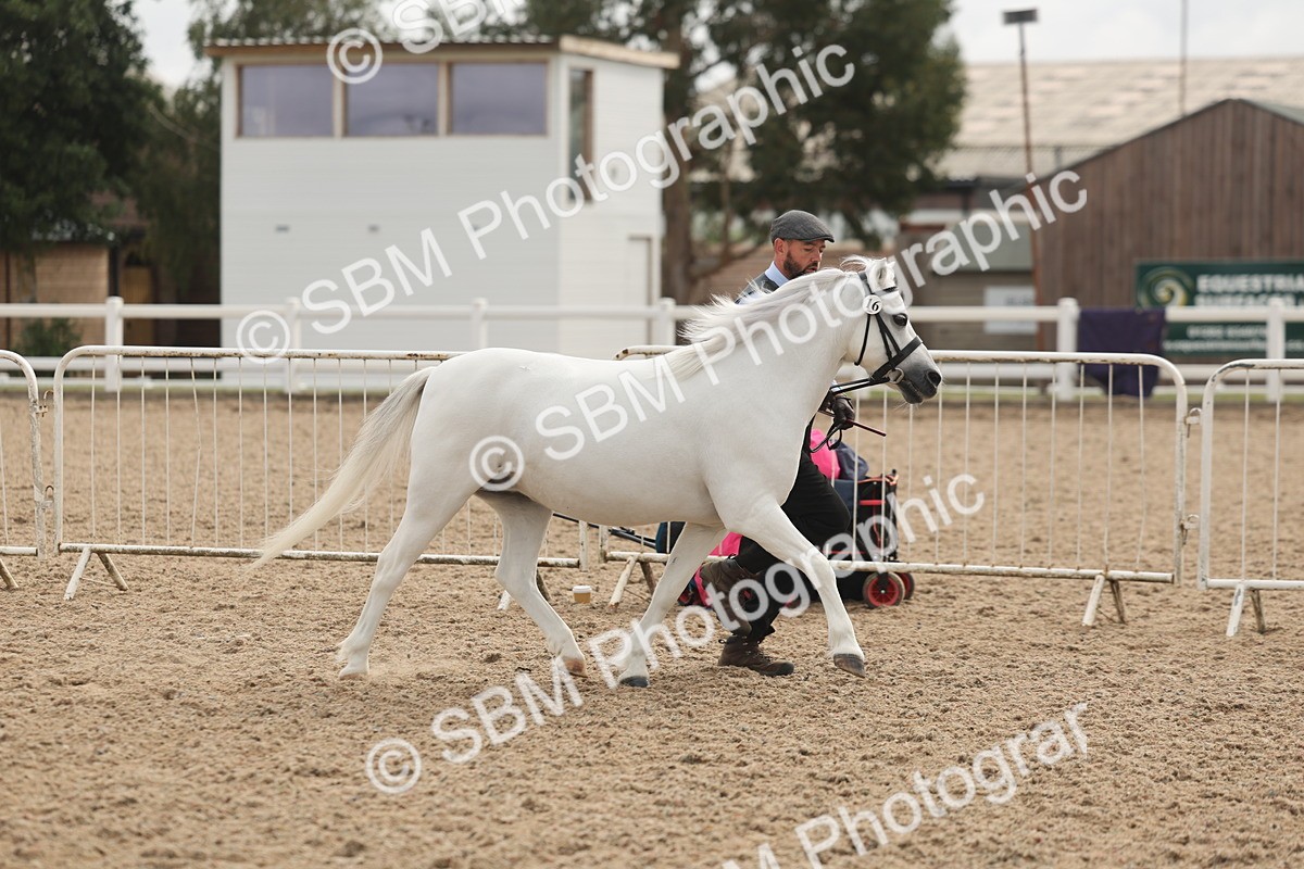 SBM_03189 - Class 16 - IH M&M Wildcard