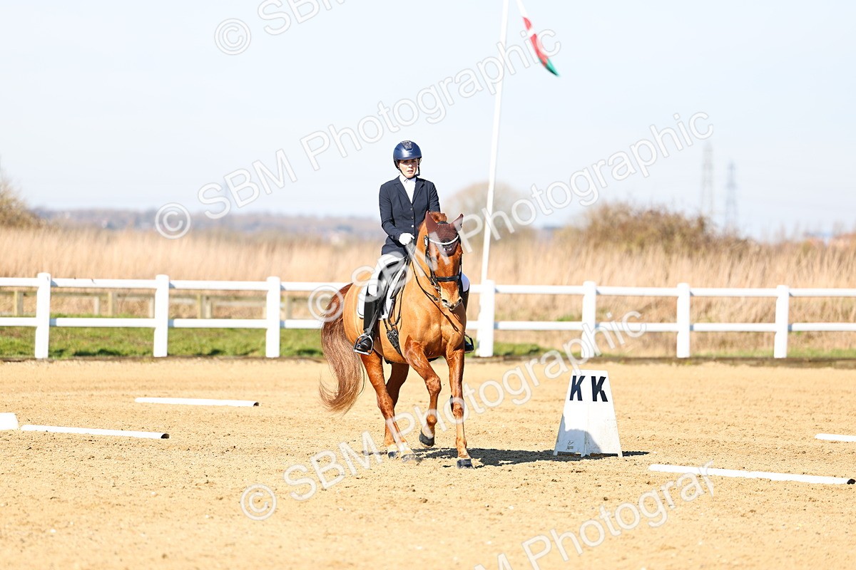 026A8525 - Class 2-6-5-4 - Paso Doble-Sevilla-Golega-Novato