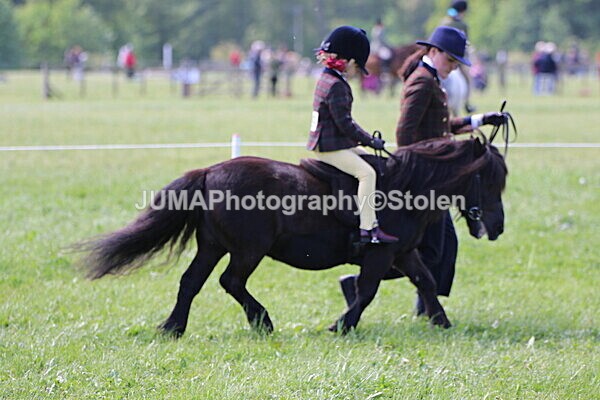 SIAL3977 - Ring 3 and 4