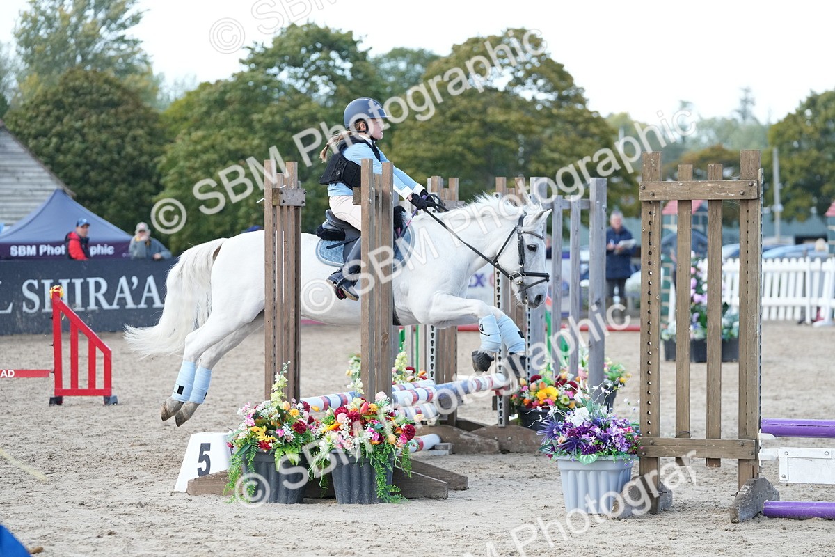 SBM_29179 - J43 - Horse & Hound Open 50cm