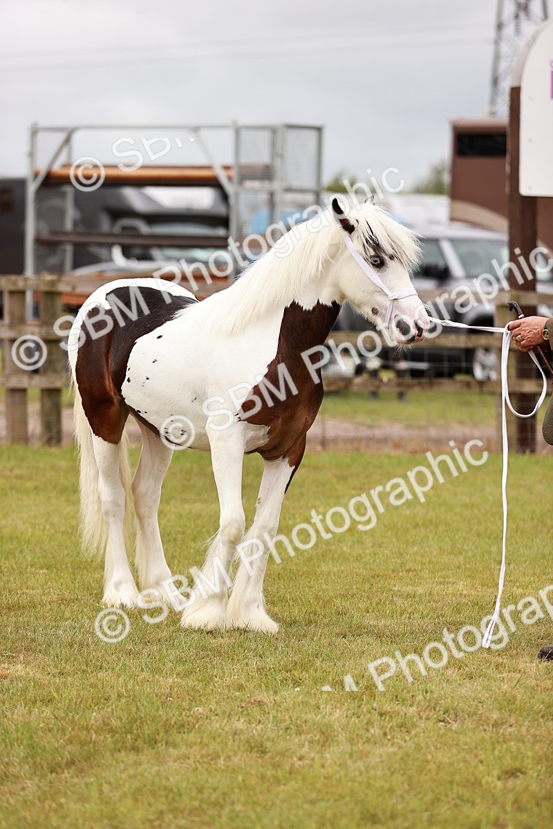 SBM_04588 - Class 5-8 - BSPA In hand