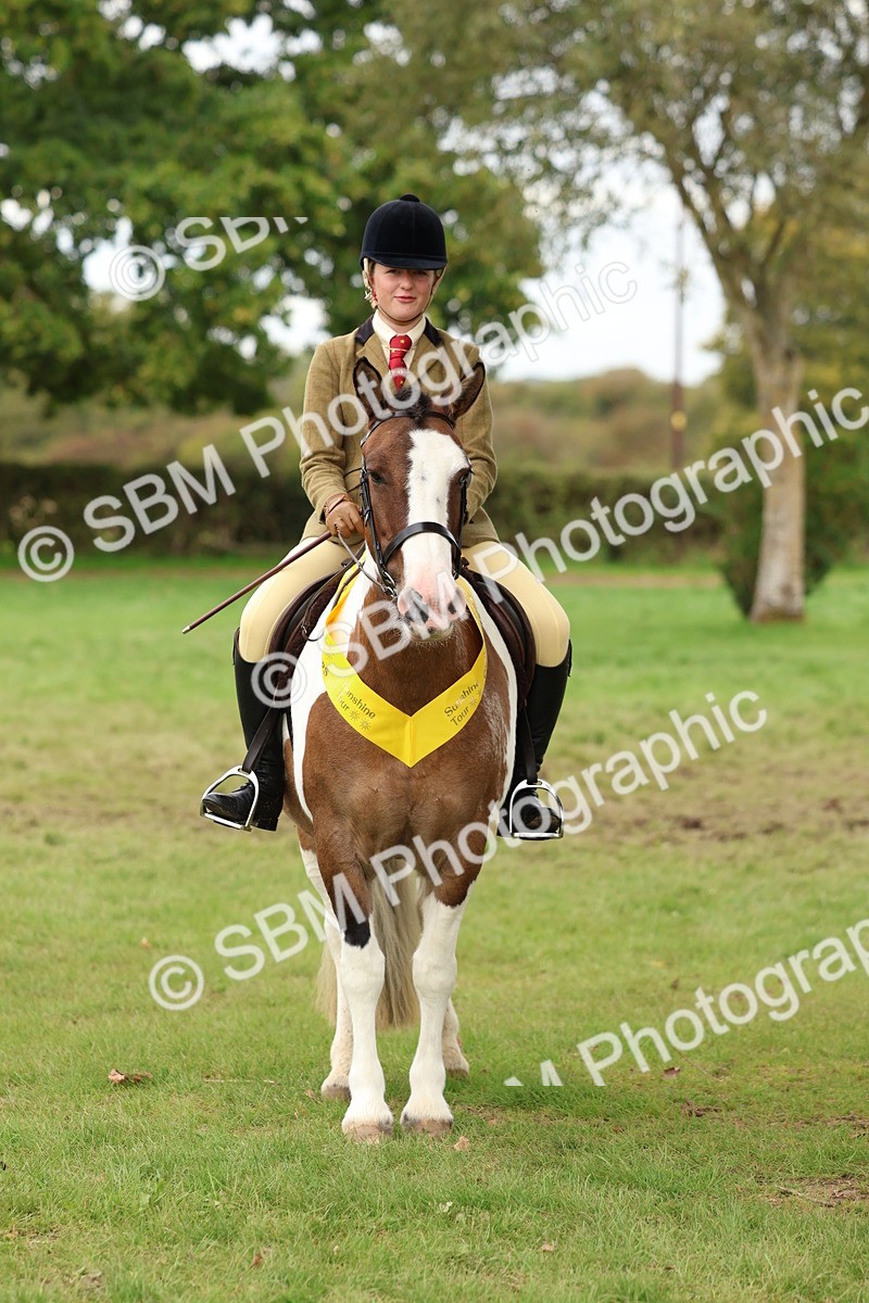 SBM_65217 - S59 - Part Bred Arab & Native Pony Ridden