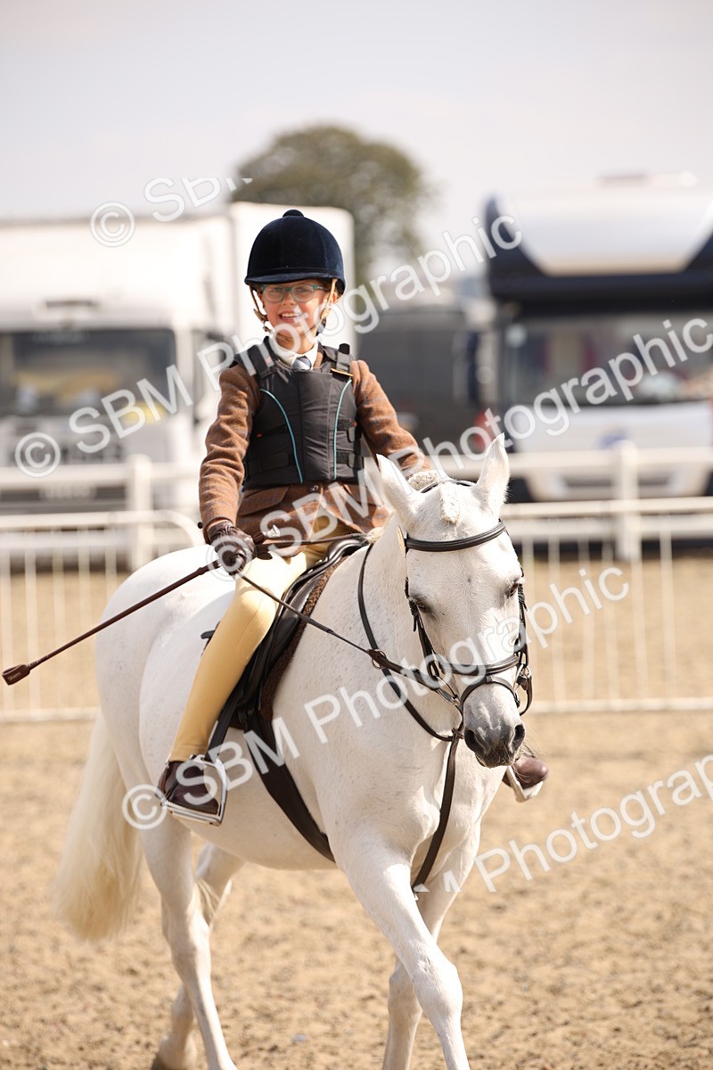 SBM_14263 - Class 407b - Working Veteran 60cm (20+)