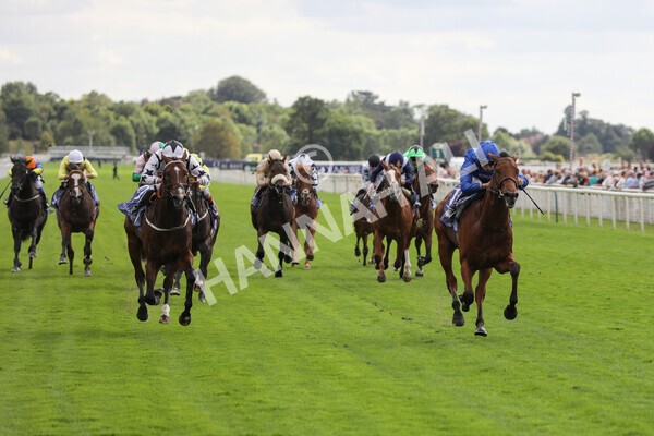 yr19082022r3-26 - Race 3 3.00pm Al Basti Equiworld Dubai Gimcrack Stakes