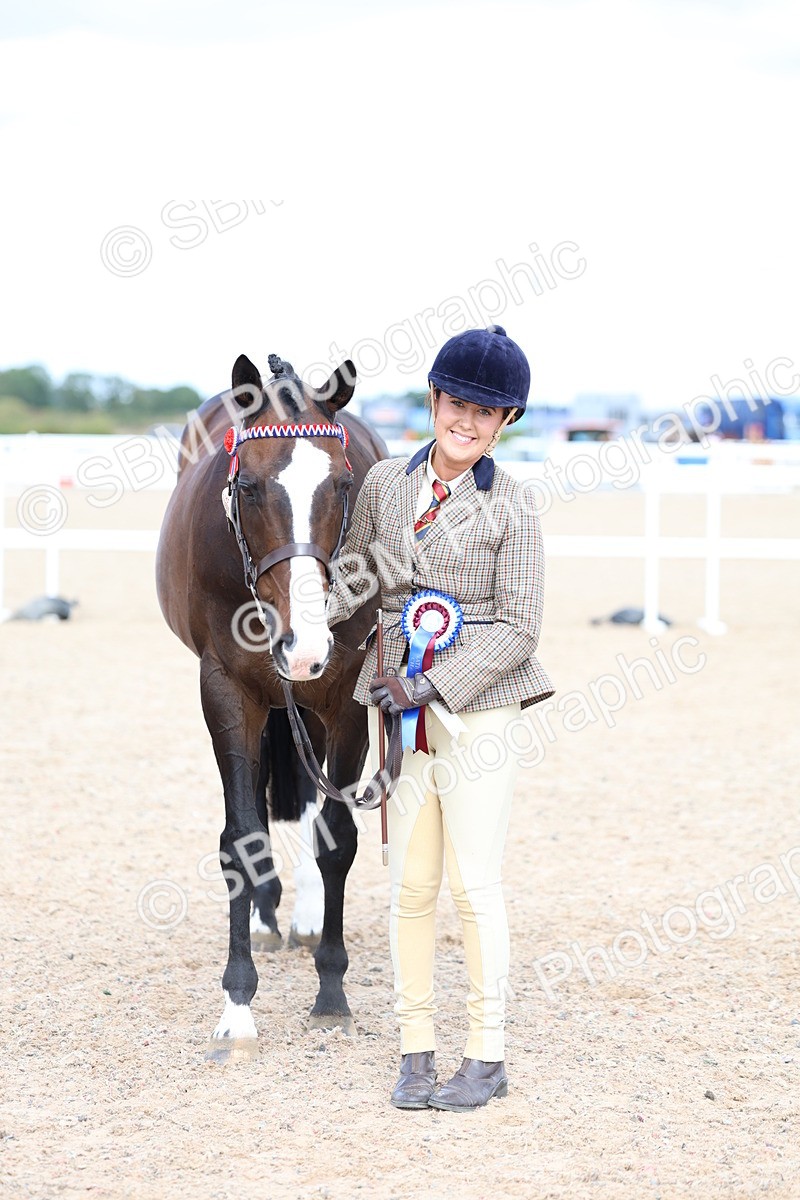 SBM_15296 - Class 313 - IH Retired Racehorse