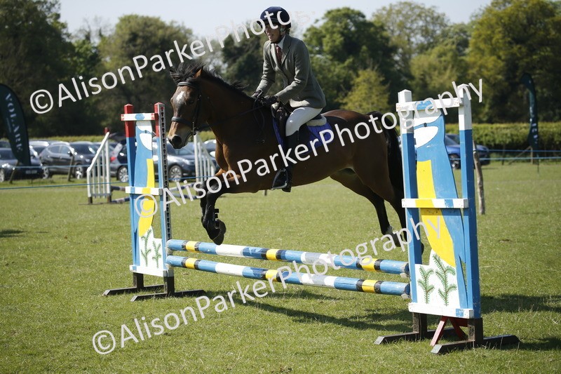20250427-1991 - Class 13 - Novice Jumping 60cm