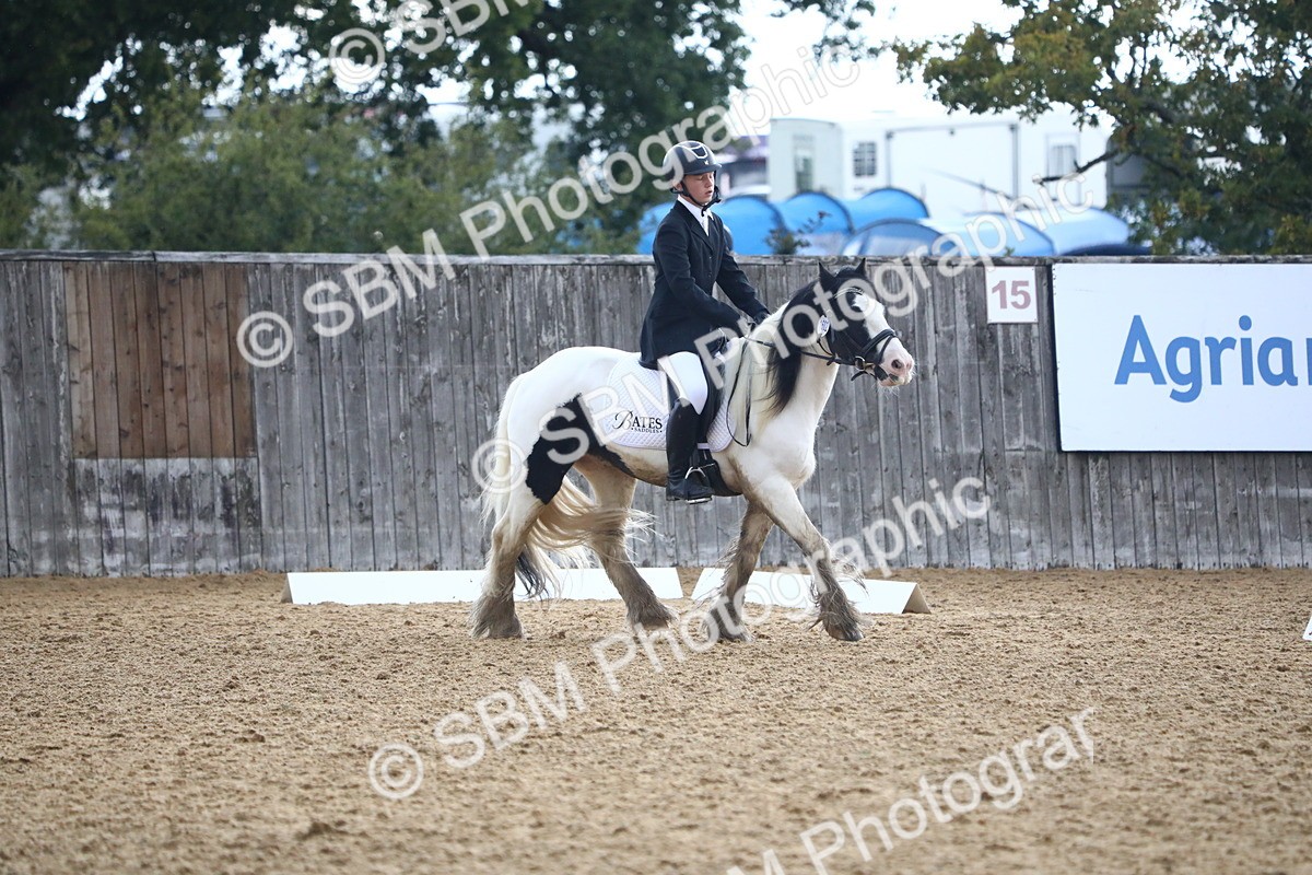 SBM_42579 - D21 - Junior Championship Intro 1