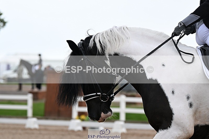 250907-140621-09161 - 014-Katrina.EllisSilverstor.IV