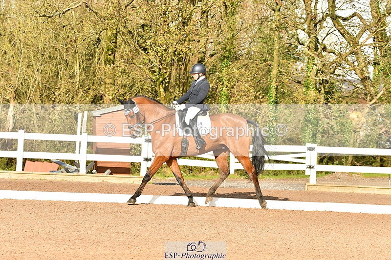 231104A-131702-00620 - Cls 11 Medium 75