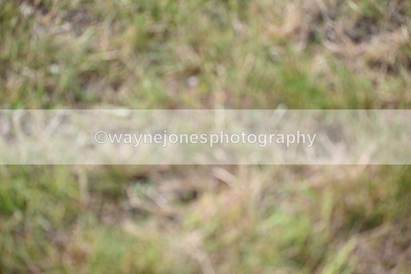 WJ6_5826 - Time 09:46 to 10:26