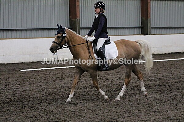 SIAL3645 - CAbin Dressage 5th july 2025