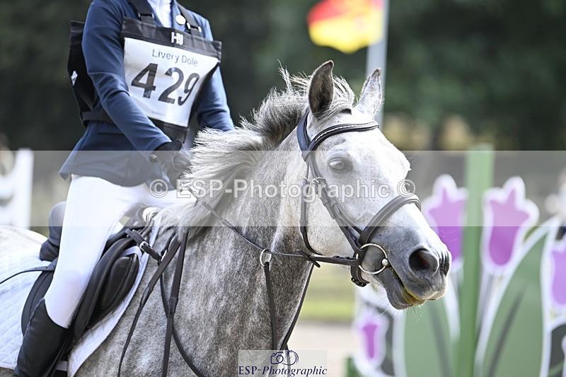 240823X-160146-18996 - 70cm R2 15.20 to 16.40