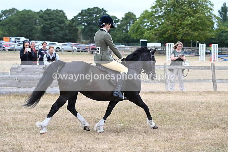 WJ7_0466 - Class 6 Ridden Mountain and Moorland
