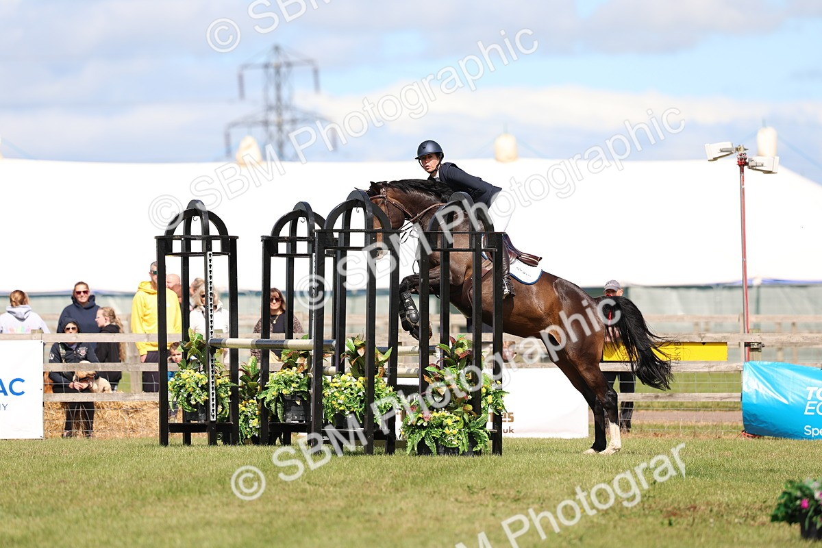 SBM_13517 - Class 206 - Senior Newcomers - 1.10m Open