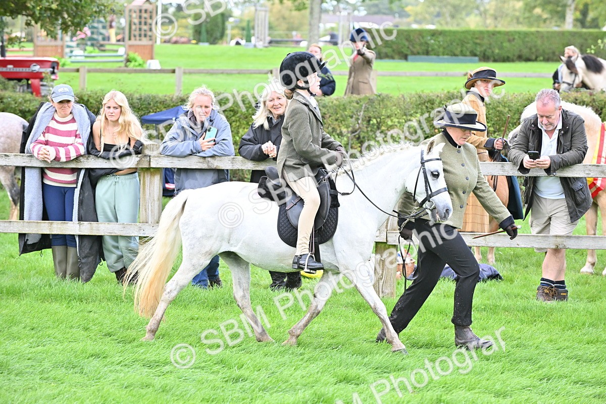 SBM_38336 - S19 - Lead Rein Show & Show Hunter Pony
