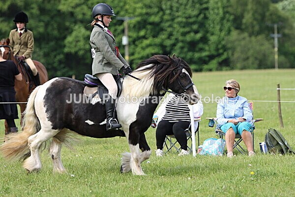 IMG_2426 - Working Hunter