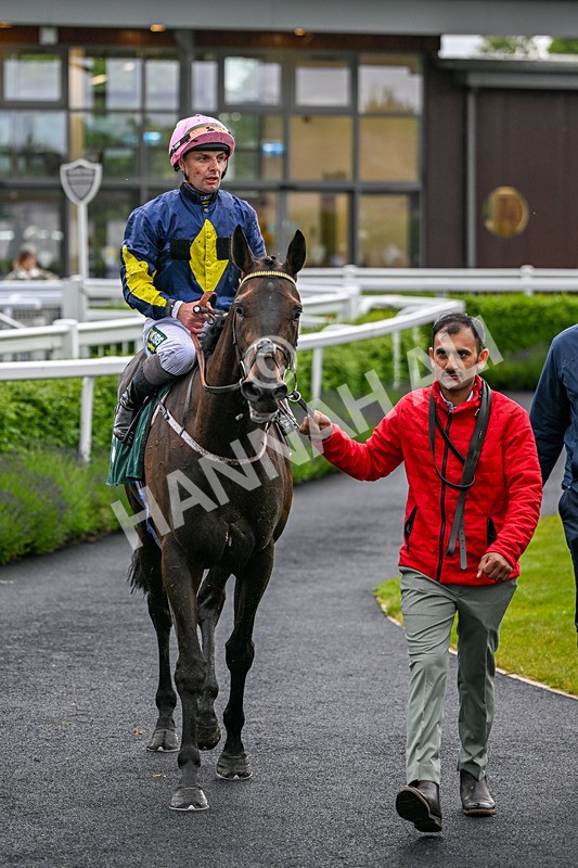 110626-Race 2-Two Commanders-4427 - Race 2 18.52pm Bowel Cancer Screening Programme Saves Lives Novice Stakes