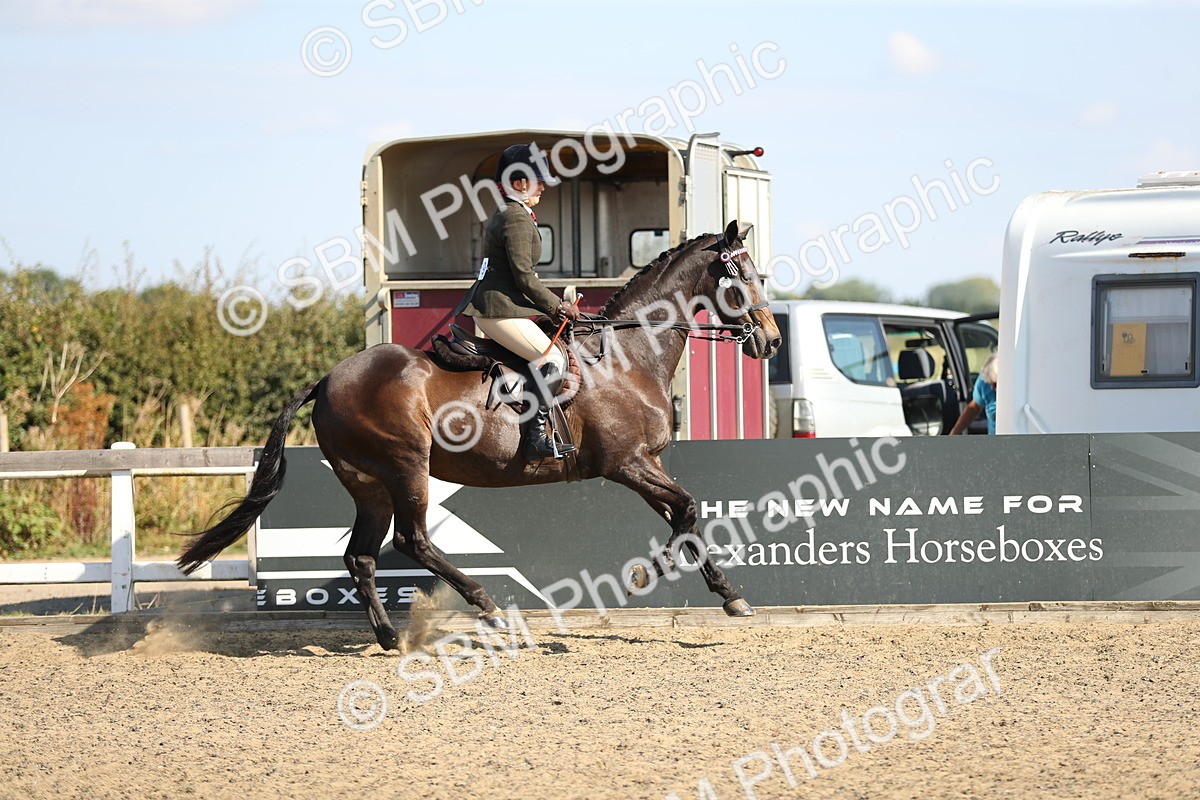 SBM_02319 - Class 43 Ridden Competition Horse/Pony