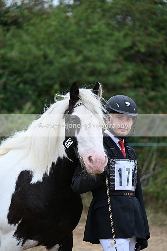 WJ7_9537 - Class 5 Most Handsome Gelding (up to 14.2hh)