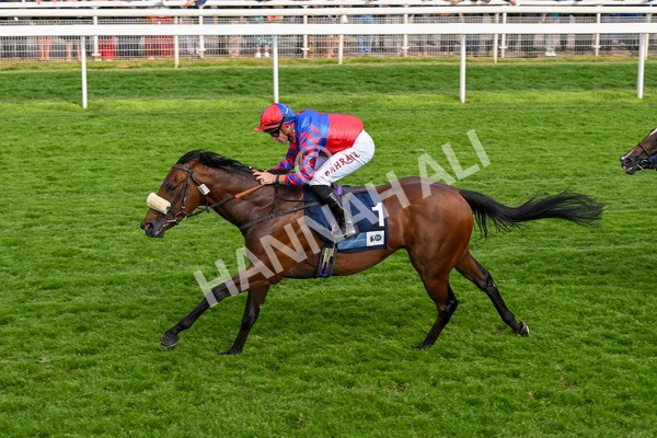 160524-Race 5-Big Evs-6344 - Race 5 4.15pm  British Stallion Studs EBF Westow Stakes