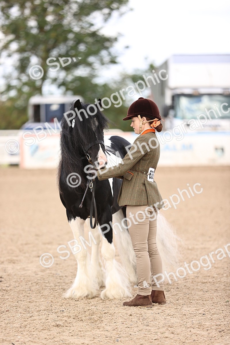 SBM_09317 - Class 404 - IH Traditional - Native Cob