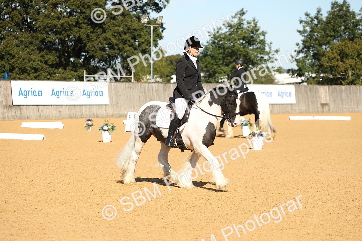 SBM_18861 - D10 - Small Tour Championship - Prelim 2