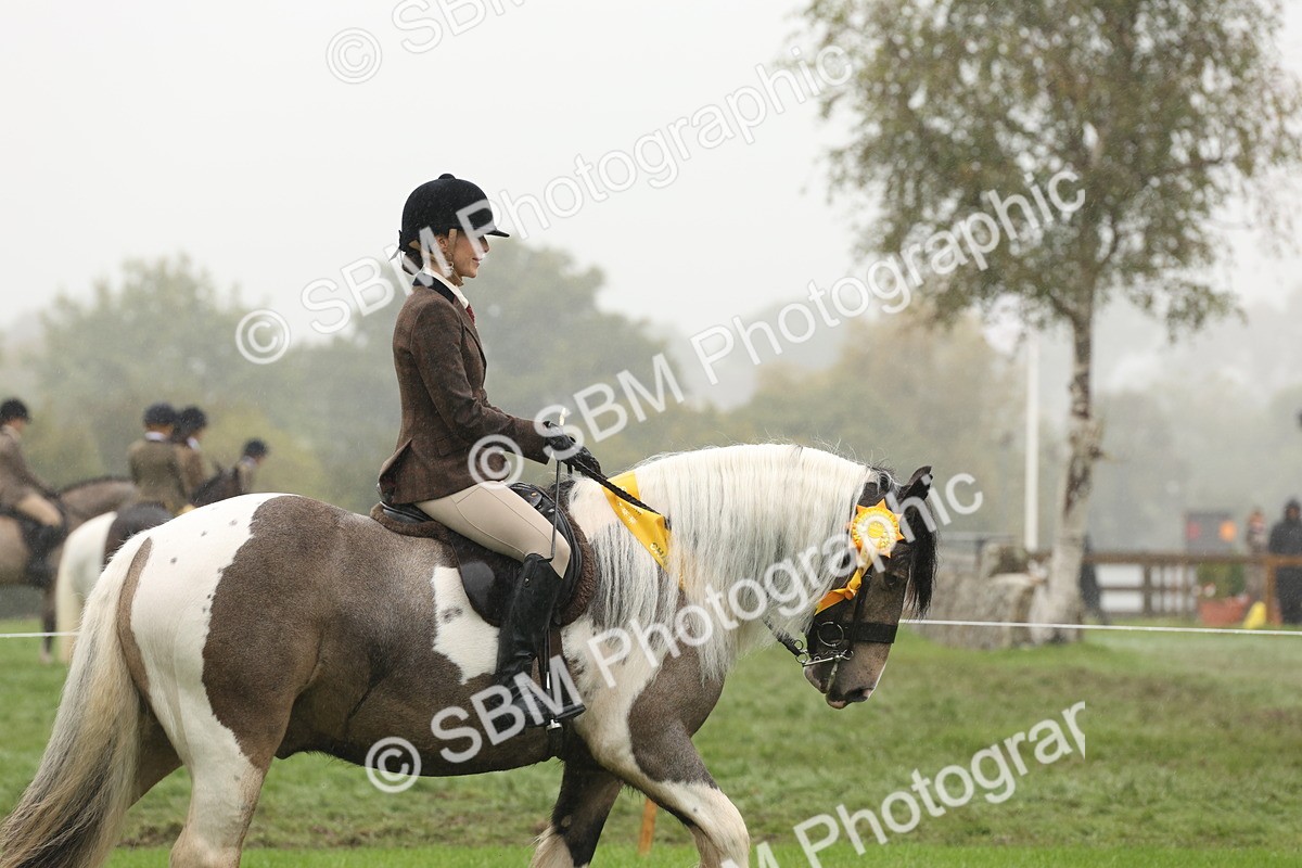 SBM_72878 - Ridden Horse Supreme Championship