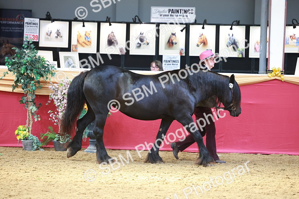SBM_04171 - Class 9R - IH Pre-Vet