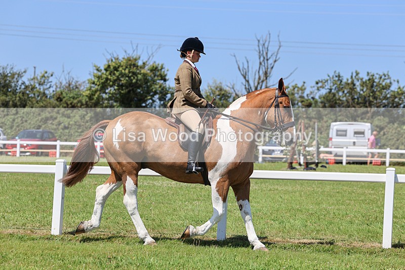 IMG_2298 - Class 38: Veteran Ridden