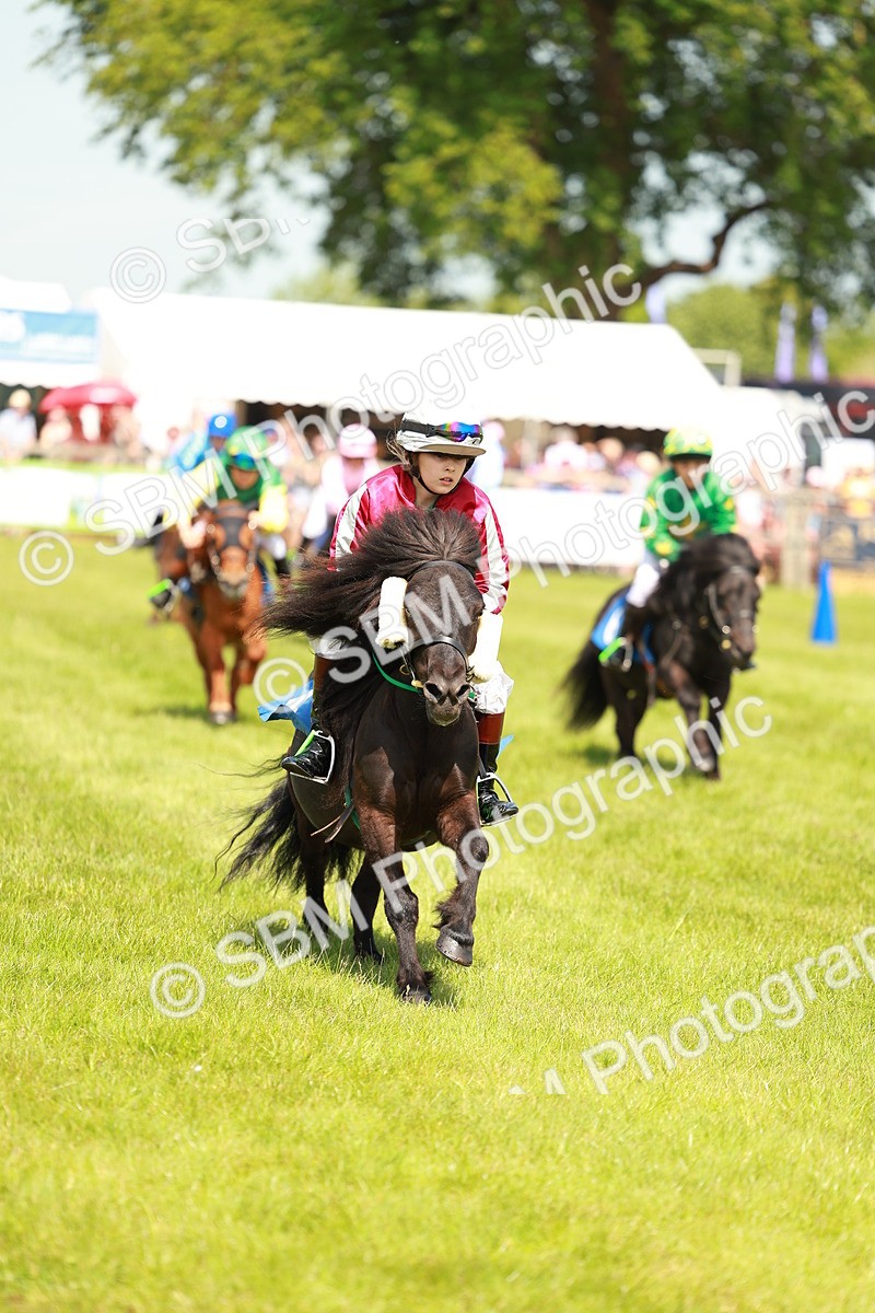 SBM_04831 - Shetland Grand National