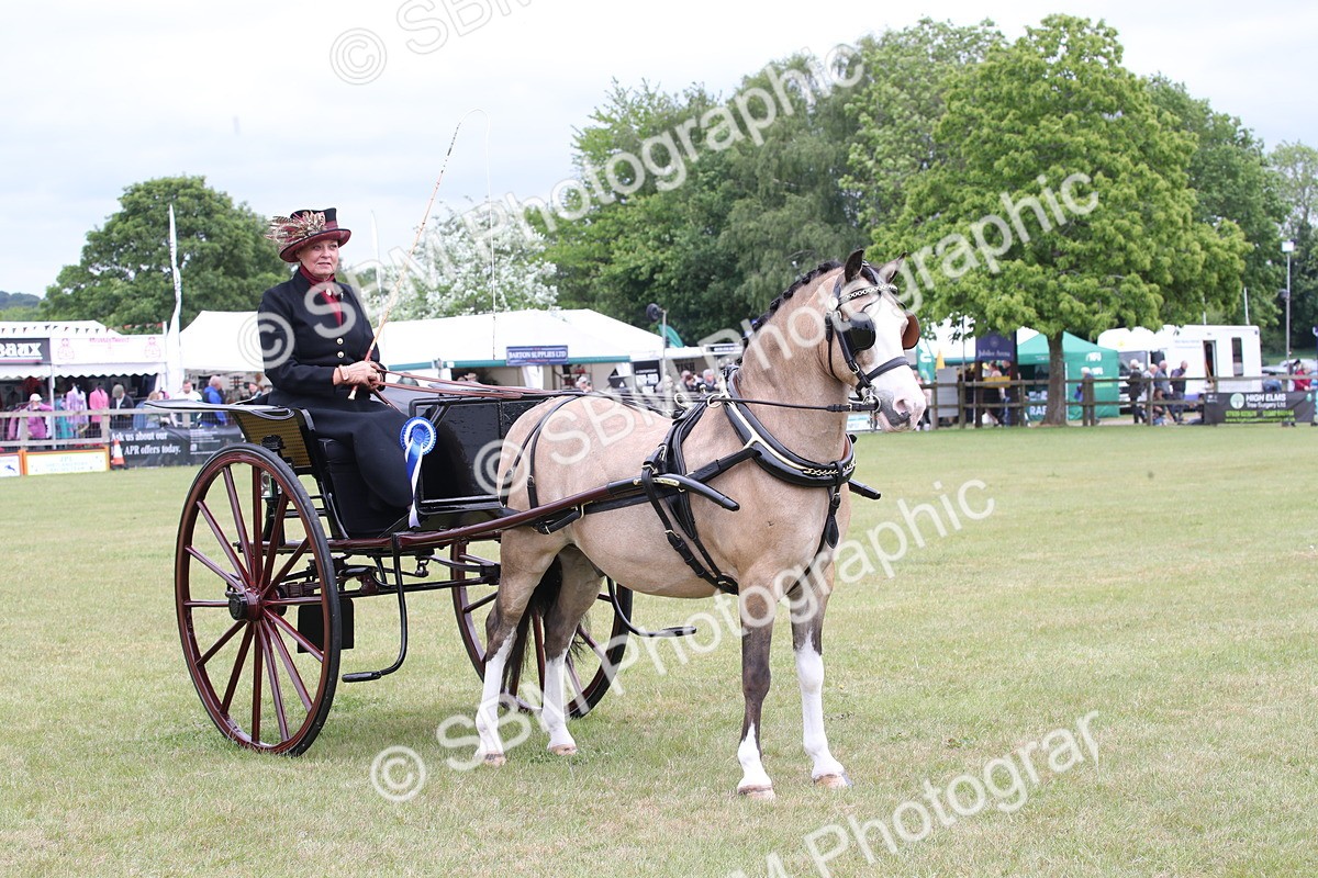 SBM_05923 - Class 12-15 - HOYS Private Driving