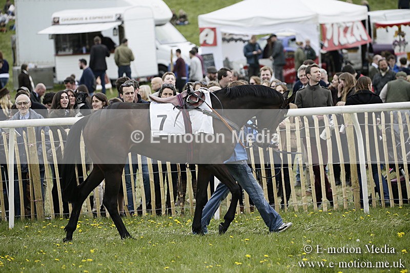 PtP 170417 485 - Old Berks Point-to-Point Lockinge 17/04/17