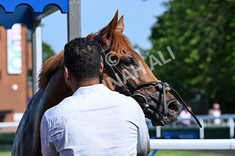 230626-Race 5-Percys Daydream-1607 - Race 5 16.17pm Humberside Airport Handicap