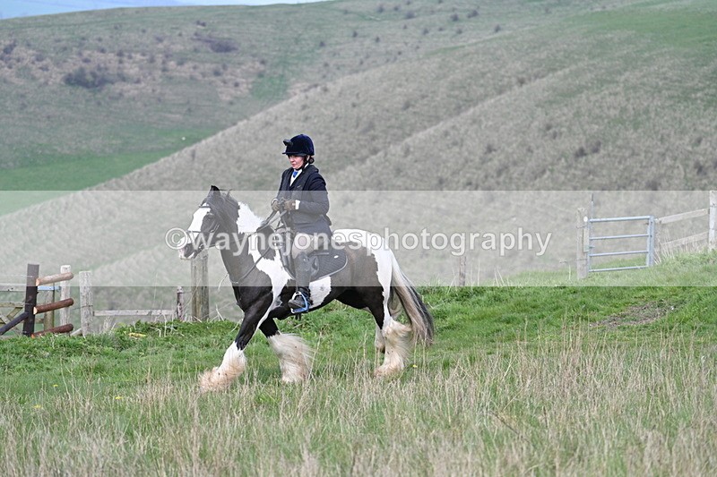 WJ7_8205 - Line 2 A camera