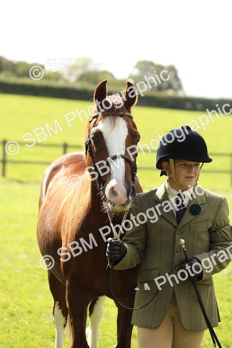 SBM_65511 - S47 - Mountain & Moorland In Hand Large Breeds